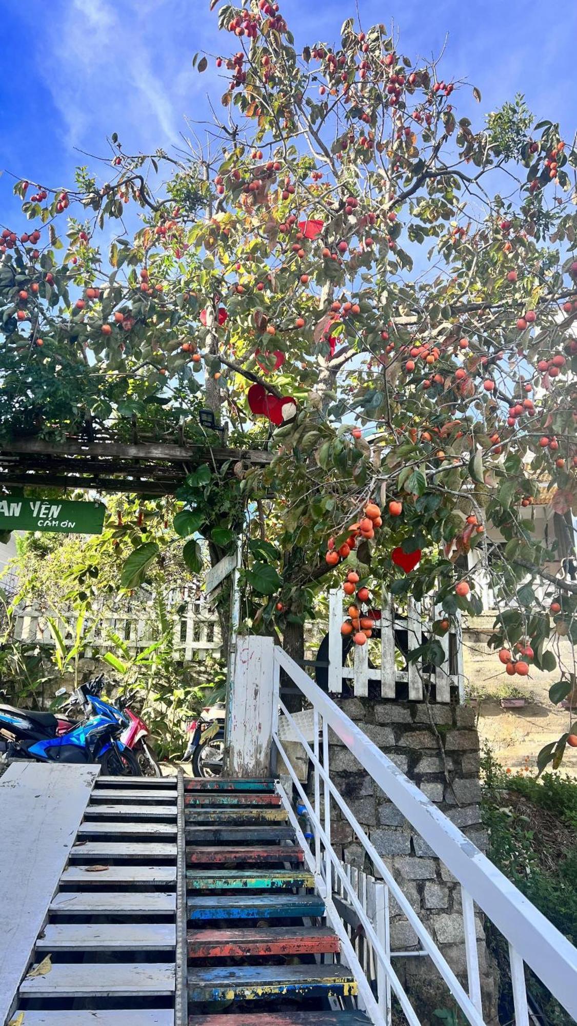 An Yen Villa دالات المظهر الخارجي الصورة