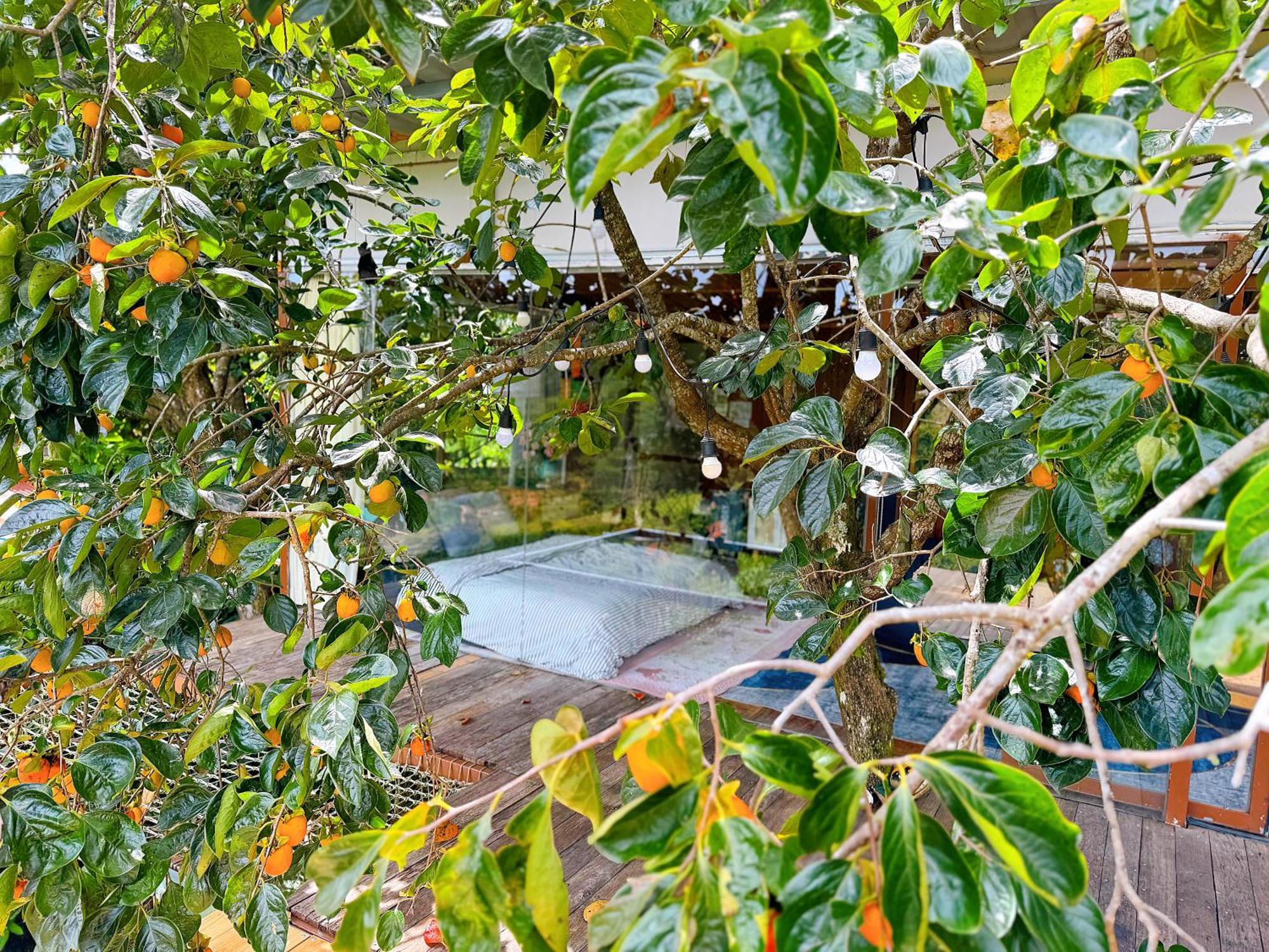 An Yen Villa دالات المظهر الخارجي الصورة